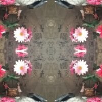 mirror photo image of hijacked building in Johannesburg