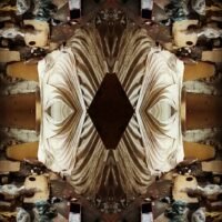 mirror photo image of hijacked building in Johannesburg