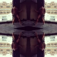 mirror photo image of hijacked building in Johannesburg
